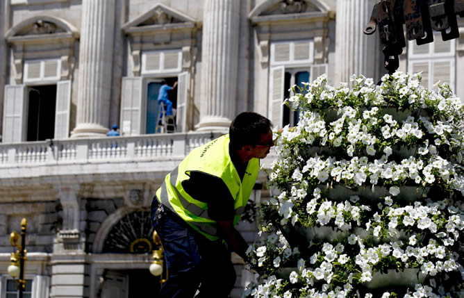 Un operario de parques y jardines coloca una maceta con petunias ante el Palacio Real donde se trabaja en los últimos preparativos Un operario de parques y jardines coloca una maceta con petunias ante el Palacio Real donde se trabaja en los últimos preparativos