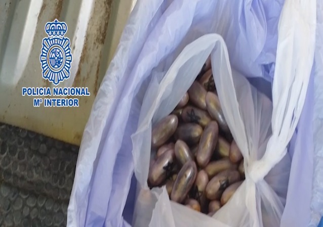 Desarticulada una red de tráfico de hachís en la región madrileña Desarticulada una red de tráfico de hachís en la región madrileña