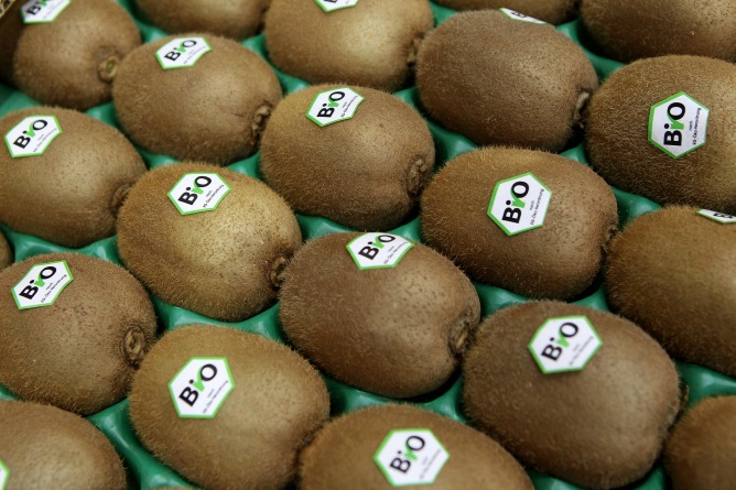 El sector del kiwi resulta el más beneficiado por las ayudas europeas. El sector del kiwi resulta el más beneficiado por las ayudas europeas.
