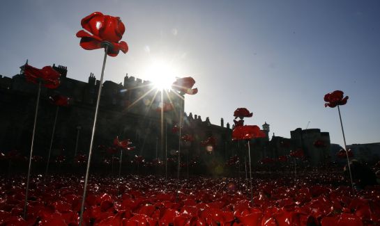La Torre de Londres está arropada por un manto de amapolas de cerámica La Torre de Londres está arropada por un manto de amapolas de cerámica