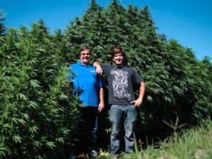 Randy Williams de la granja Fireweed en Prosser dentro del estado de Washington Randy Williams de la granja Fireweed en Prosser dentro del estado de Washington