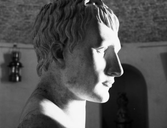 Busto de Napoleón Bonaparte Busto de Napoleón Bonaparte