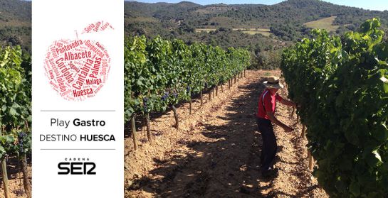 Joaquín Durán, vecino de Ubiergo (Huesca), trabaja para la bodega Obergo. Joaquín Durán, vecino de Ubiergo (Huesca), trabaja para la bodega Obergo.