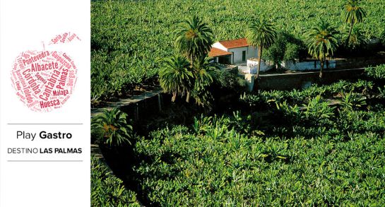 El plátano sigue siendo uno de los grandes embajadores de la gastronomía canaria. El plátano sigue siendo uno de los grandes embajadores de la gastronomía canaria.