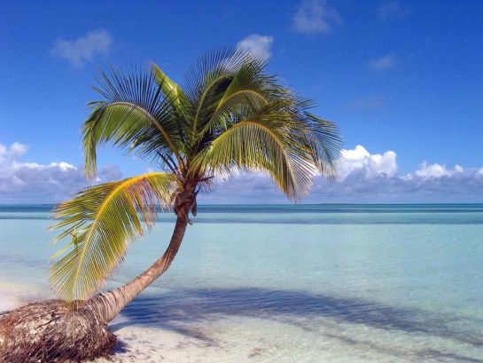 Cayo Coco (Cuba). Cayo Coco (Cuba).