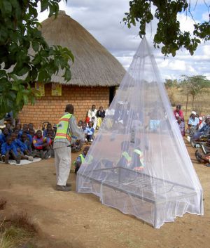 La OMS dibuja un horizonte de esperanza para erradicar la malaria La OMS dibuja un horizonte de esperanza para erradicar la malaria