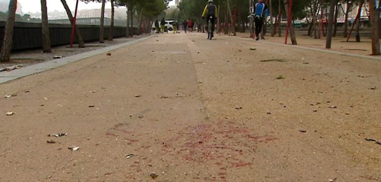 Restos de sandre en Madrid Río tras la reyerta entre ultras del Atlético y Deportivo el pasado 30 de noviembre. Restos de sandre en Madrid Río tras la reyerta entre ultras del Atlético y Deportivo el pasado 30 de noviembre.