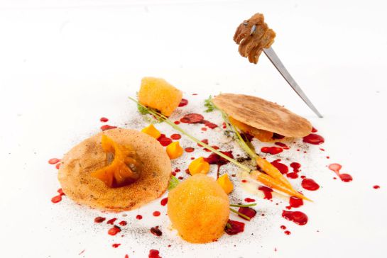Posticker dumpling de pato. Posticker dumpling de pato.