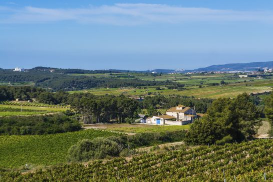 La comarca del Alt Penedès. La comarca del Alt Penedès.