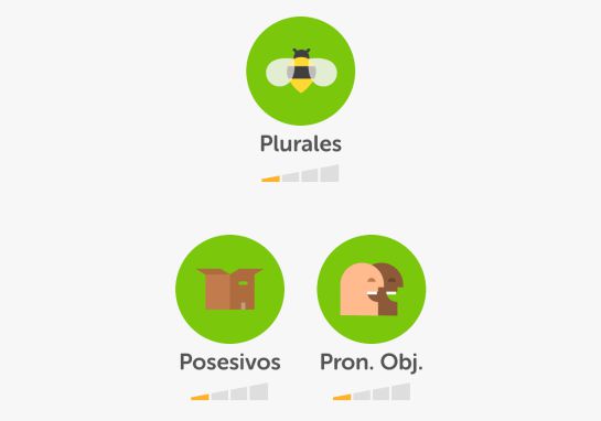 Captura de pantalla de la aplicación Duolingo Captura de pantalla de la aplicación Duolingo