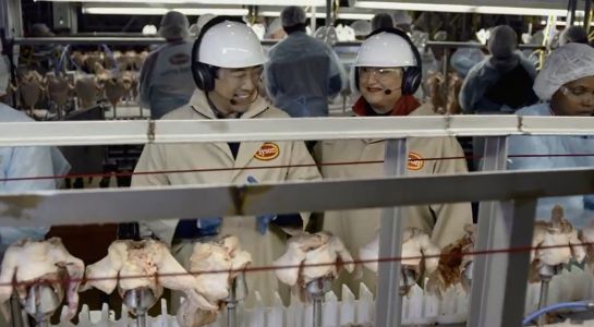 McDonald’s desvela cómo se fabrican los McNuggets de pollo McDonald’s desvela cómo se fabrican los McNuggets de pollo