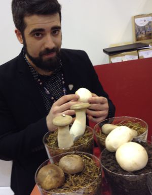 Javier Honorato, en el 'backstage' de Fitur. Javier Honorato, en el 'backstage' de Fitur.