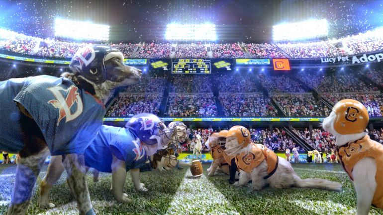 Imagen del spot para la Super Bowl 2015 de Lucy Pet Foundation Imagen del spot para la Super Bowl 2015 de Lucy Pet Foundation