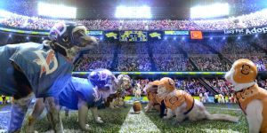 Las mareantes cifras televisivas de la Super Bowl 2015 Las mareantes cifras televisivas de la Super Bowl 2015