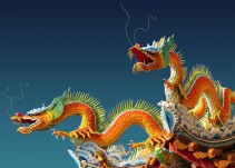 Descubre qué animal eres en el horóscopo chino