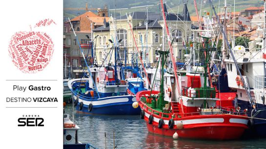 Barcos de pesca atracados en el puerto de Bermeo. Barcos de pesca atracados en el puerto de Bermeo.