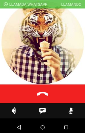 Apariencia de una llamada entrante por WhatsApp Apariencia de una llamada entrante por WhatsApp