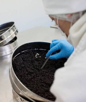 Centro de producción de Caviar Nacarii en Les. Centro de producción de Caviar Nacarii en Les.