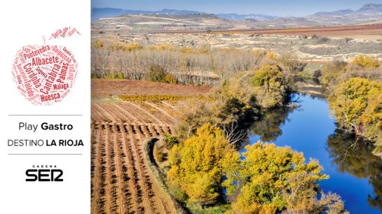 Viñedos de La Rioja. Viñedos de La Rioja.