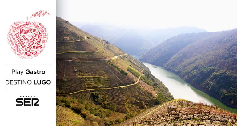 Viñedos de la Ribera Sacra, a orillas del río Sil. Viñedos de la Ribera Sacra, a orillas del río Sil.