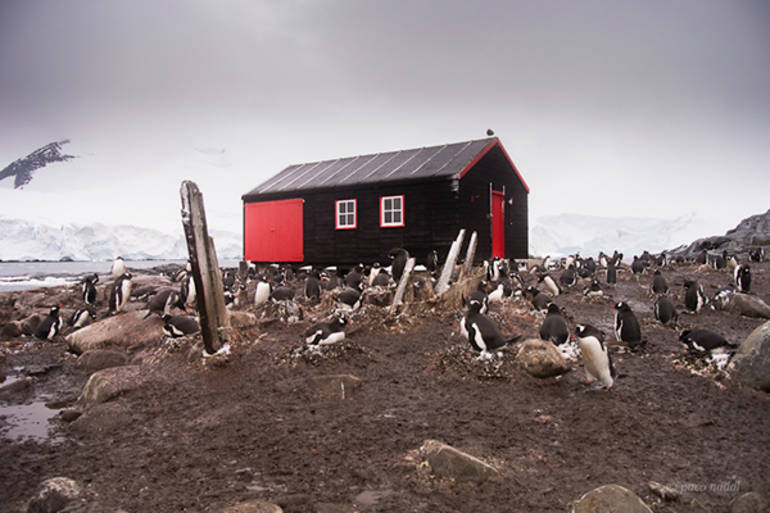 Port Lockroy: el museo más al sur del mundo Port Lockroy: el museo más al sur del mundo