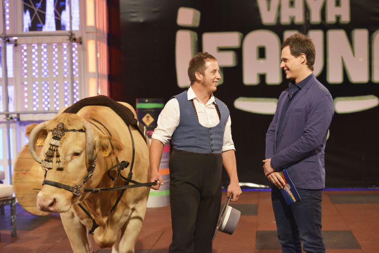 Christian Gálvez junto al dueño de un buey que compite en '¡Vaya fauna!' Christian Gálvez junto al dueño de un buey que compite en '¡Vaya fauna!'