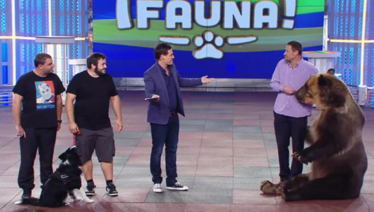 El oso adiestrado para tocar la trompeta, una de las actuaciones de '¡Vaya fauna!' más criticadas El oso adiestrado para tocar la trompeta, una de las actuaciones de '¡Vaya fauna!' más criticadas