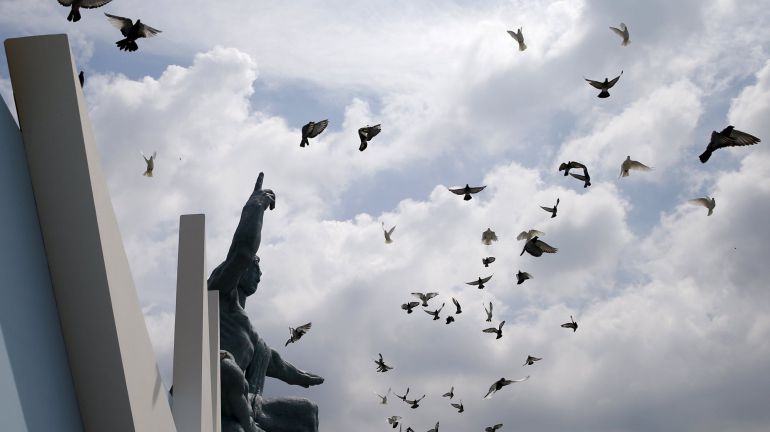 Miles de palomas han sido liberadas en el Parque de la Paz durante la conmemoración del lanzamiento de la bomba Miles de palomas han sido liberadas en el Parque de la Paz durante la conmemoración del lanzamiento de la bomba