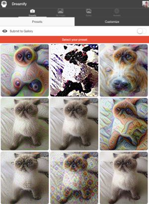Dreamify. Dreamify.