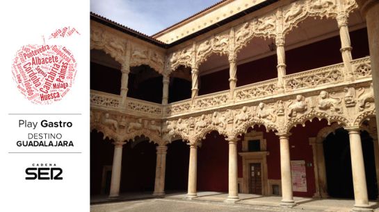 Patio de los Leones del Palacio del Infantado (Guadalajara). Patio de los Leones del Palacio del Infantado (Guadalajara).