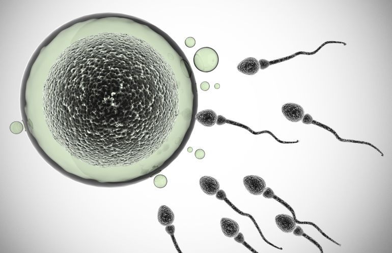 Un juzgado castiga a la Consejería de Sanidad y a un hospital por discriminación Un juzgado castiga a la Consejería de Sanidad y a un hospital por discriminación
