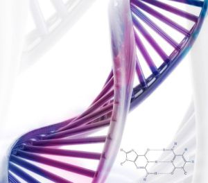 Estructura helicoidal del ADN Estructura helicoidal del ADN