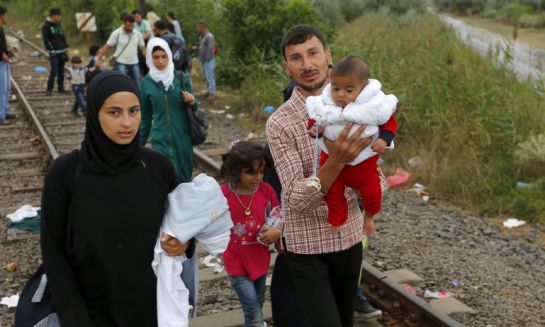 La hilera de refugiados que cruza los Balcanes llega a la frontera húngara La hilera de refugiados que cruza los Balcanes llega a la frontera húngara
