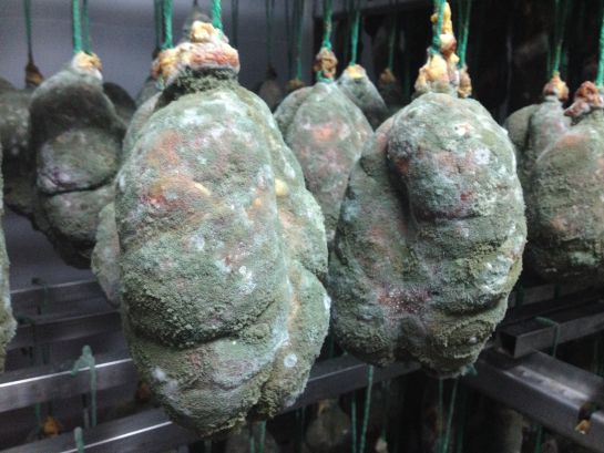 Morcones de cerdo ibérico en el secadero de Eíriz. Morcones de cerdo ibérico en el secadero de Eíriz.