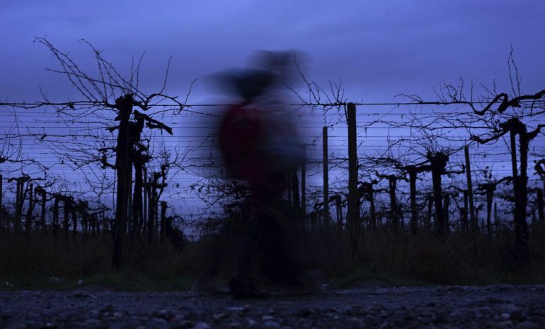 Refugiados se dirigen al centro de registro tras cruzar la frontera con Macedonia. Refugiados se dirigen al centro de registro tras cruzar la frontera con Macedonia.
