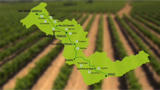 El mapa de 'La carretera del vino'. El mapa de 'La carretera del vino'.