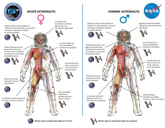 Los diferentes problemas de salud en el espacio, según el sexo del astronauta. Los diferentes problemas de salud en el espacio, según el sexo del astronauta.