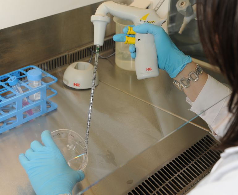 Investigan si el extracto de romero es capaz de frenar el cáncer de colon Investigan si el extracto de romero es capaz de frenar el cáncer de colon