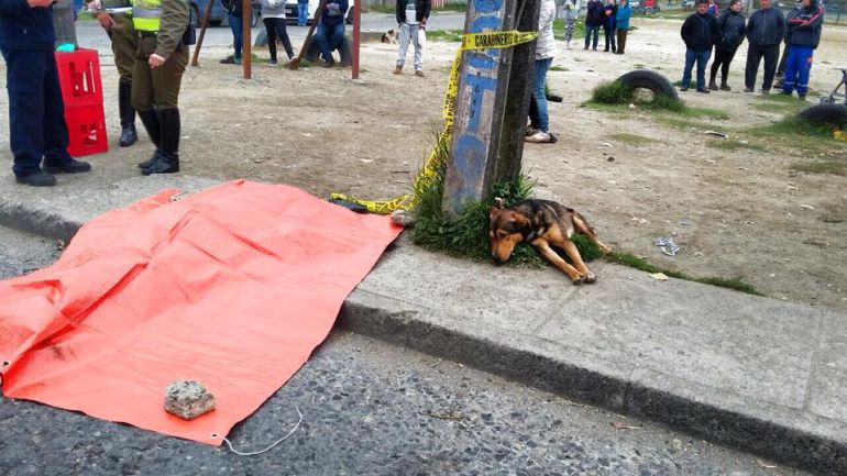 1461164635_388767_1461165054_noticia_normal.jpg