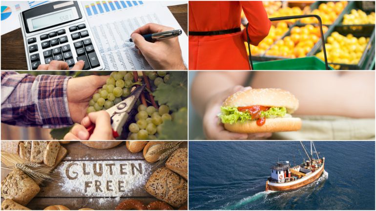 ¿Qué podría hacer el nuevo Gobierno para que comer en España sea más saludable y sostenible? ¿Qué podría hacer el nuevo Gobierno para que comer en España sea más saludable y sostenible?