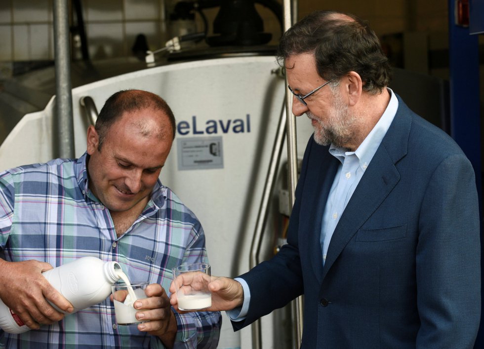 Mariano Rajoy en su visita a la ganadería Carbayed, en Asturias, durante su acampaña electoral. Mariano Rajoy en su visita a la ganadería Carbayed, en Asturias, durante su acampaña electoral.