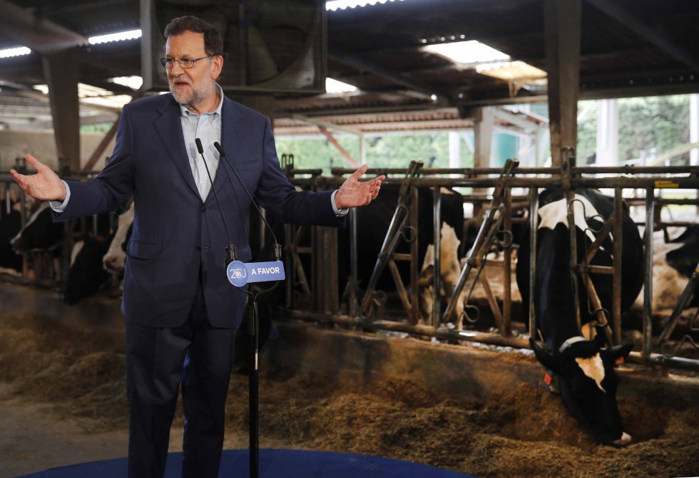 El líder del Partido Popular da un mitin en plena visita a la ganadería Carbayed, en Asturias, durante su acampaña electoral. El líder del Partido Popular da un mitin en plena visita a la ganadería Carbayed, en Asturias, durante su acampaña electoral.