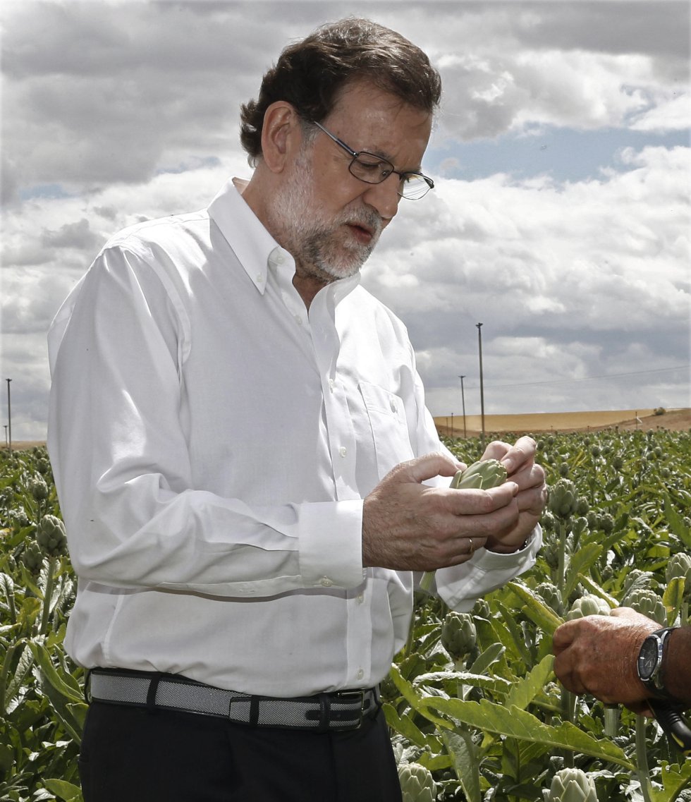 El presidente del Partido Popular, Mariano Rajoy, durante la visita a la finca de cultivo de alcachofas en Tudela. El presidente del Partido Popular, Mariano Rajoy, durante la visita a la finca de cultivo de alcachofas en Tudela.