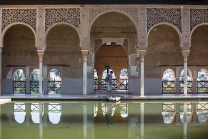 El 'trakker' de Google, el aparato para captar imágenes de alta resolución en 360º. En la Alhambra de Granada. El 'trakker' de Google, el aparato para captar imágenes de alta resolución en 360º. En la Alhambra de Granada.