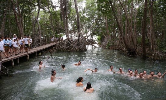 Los ruteros se bañan en el interior del manglar Los ruteros se bañan en el interior del manglar