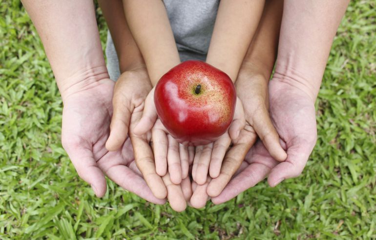 Formar parte de una tribu alimentaria puede llegar a generar un sentimiento de pertenencia similar al de los fieles de una religión. Formar parte de una tribu alimentaria puede llegar a generar un sentimiento de pertenencia similar al de los fieles de una religión.