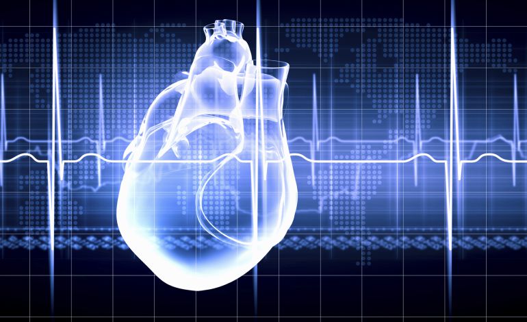 Infartos y derrames cerebrales, más del 50% de los accidentes laborales mortales Infartos y derrames cerebrales, más del 50% de los accidentes laborales mortales