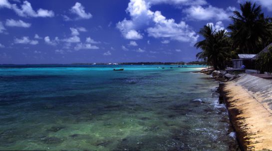La paradisíaca playa de Tuvalu. La paradisíaca playa de Tuvalu.