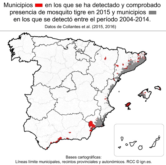En rojo, municipios en los que se ha detectadi y comprobado presencia del mosquito tigre en 2015; en gris, localidades en los que se detectó entre 2014 y 2014. En rojo, municipios en los que se ha detectadi y comprobado presencia del mosquito tigre en 2015; en gris, localidades en los que se detectó entre 2014 y 2014.