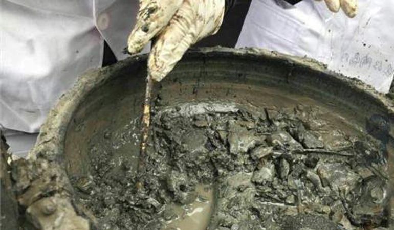 El grupo de investigadores muestran el guiso encontrado en el yacimiento chino. El grupo de investigadores muestran el guiso encontrado en el yacimiento chino.